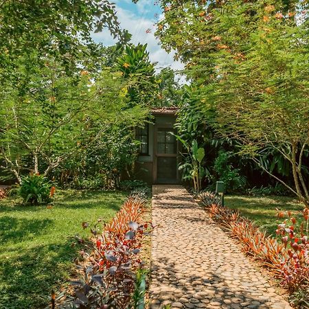 Sweet Songs Jungle Lodge San Ignacio Exterior foto