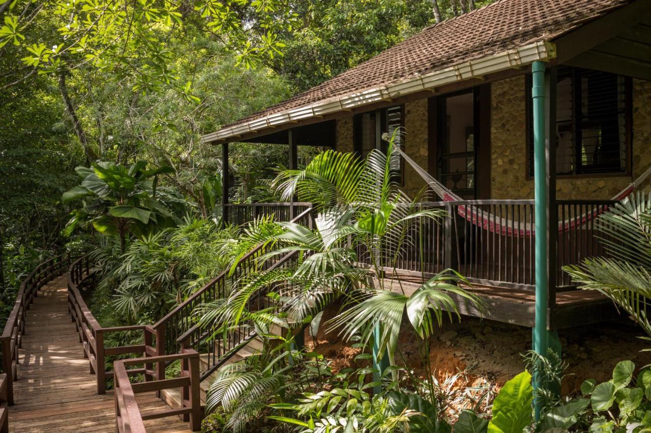 Sweet Songs Jungle Lodge San Ignacio Exterior foto