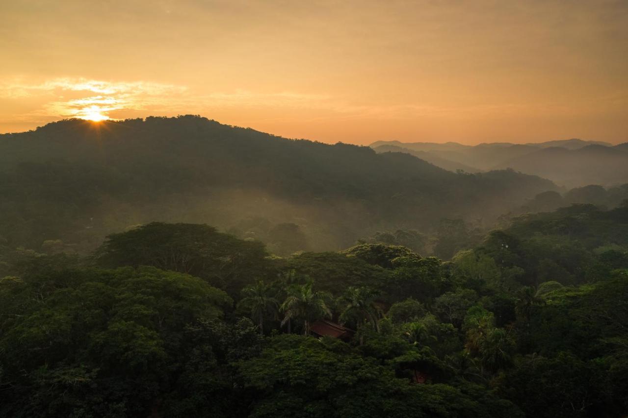 Sweet Songs Jungle Lodge San Ignacio Exterior foto