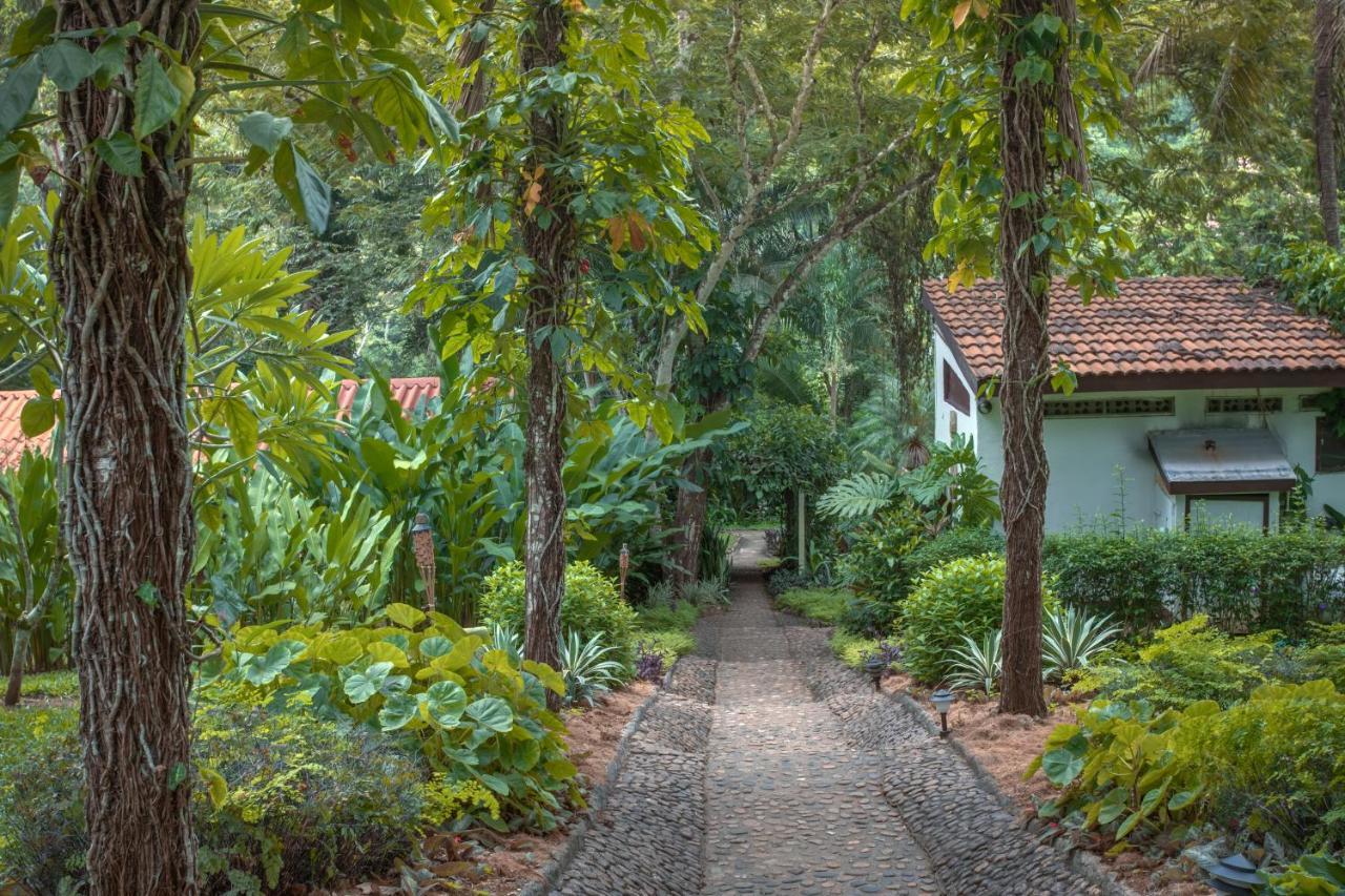 Sweet Songs Jungle Lodge San Ignacio Exterior foto