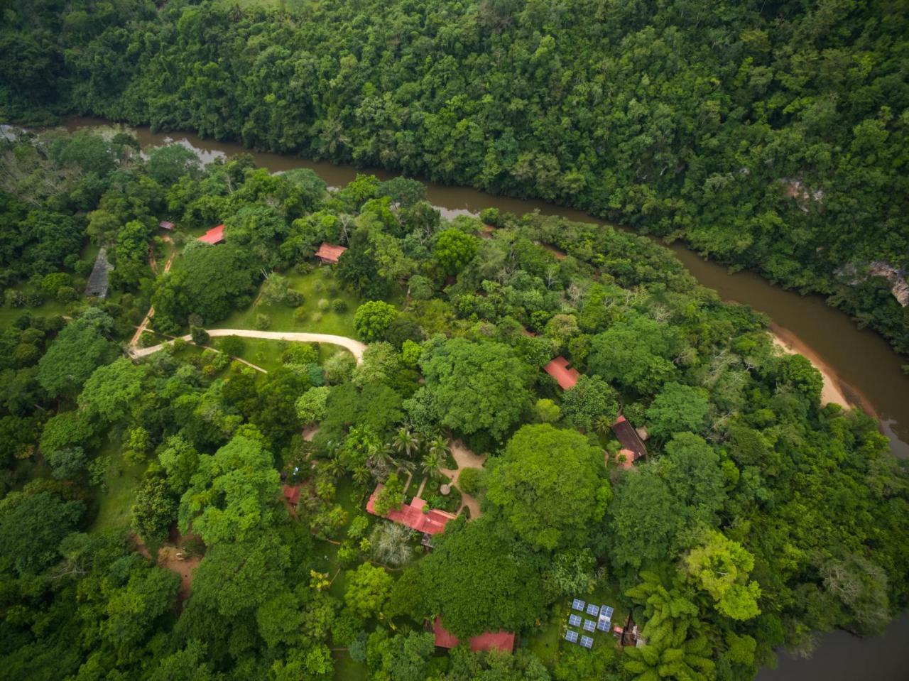 Sweet Songs Jungle Lodge San Ignacio Exterior foto