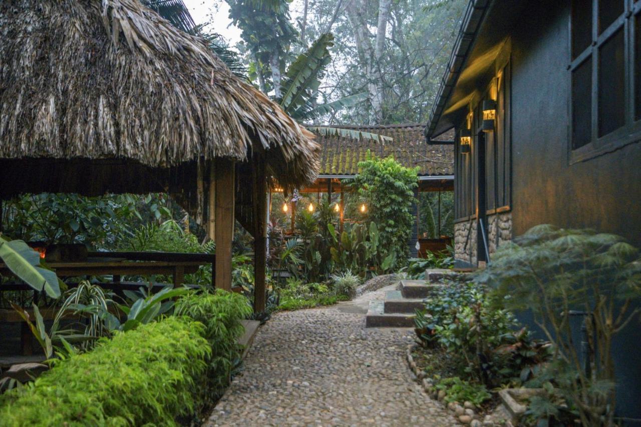 Sweet Songs Jungle Lodge San Ignacio Exterior foto